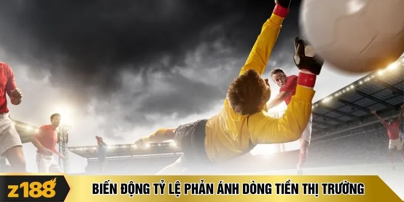 Biến động tỷ lệ phản ánh dòng tiền thị trường