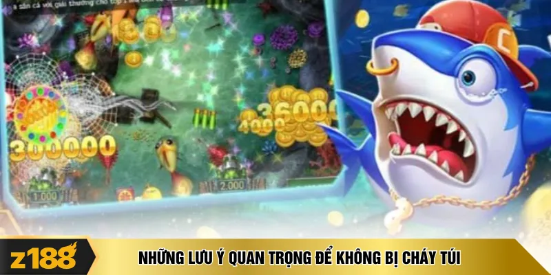 Những lưu ý quan trọng để không bị cháy túi
